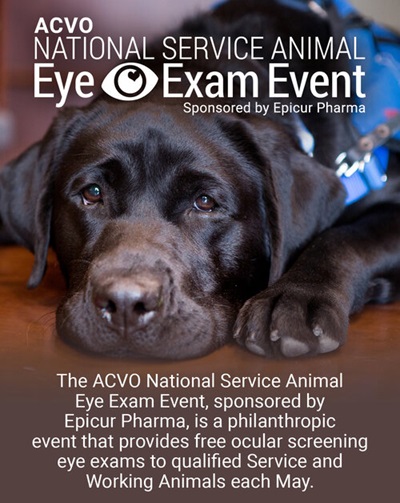 ACVO Eye Exam Event