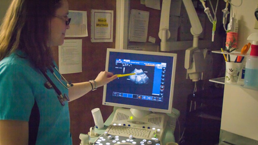 VCA Todds Lane Animal Hospital Ultrasound