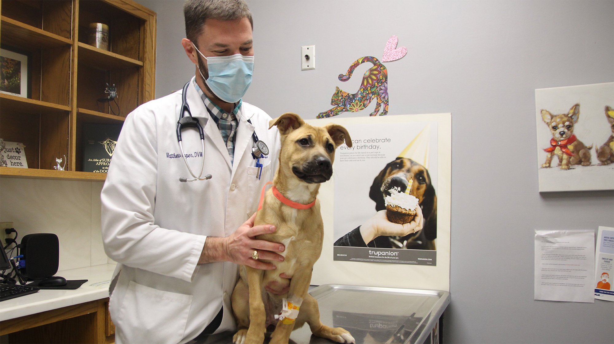 Veterinarian with puppy