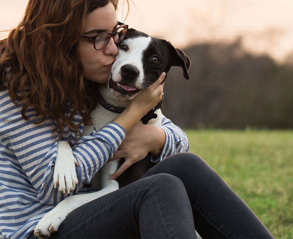 Why VCA VCA Animal Hospitals