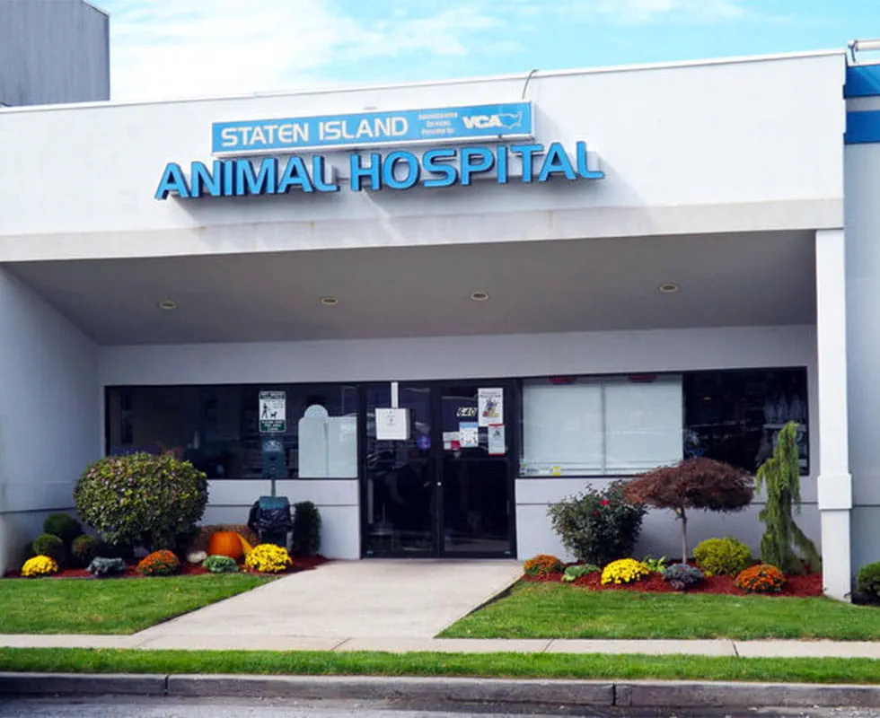 Our Hospital Staten Island Animal Hospital