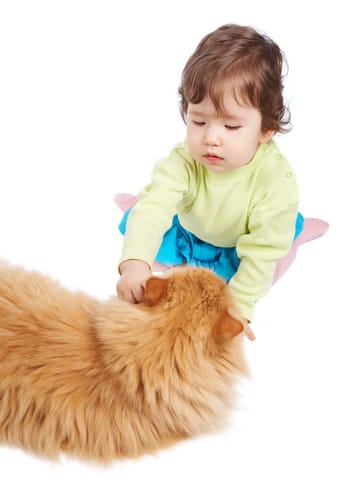 children_and_pets_3