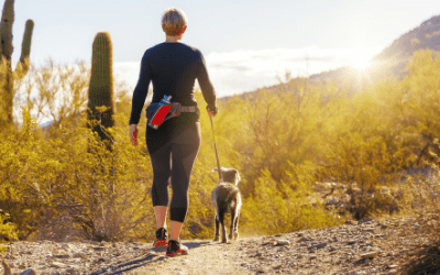 Valley Fever In Dogs Vca Animal Hospitals