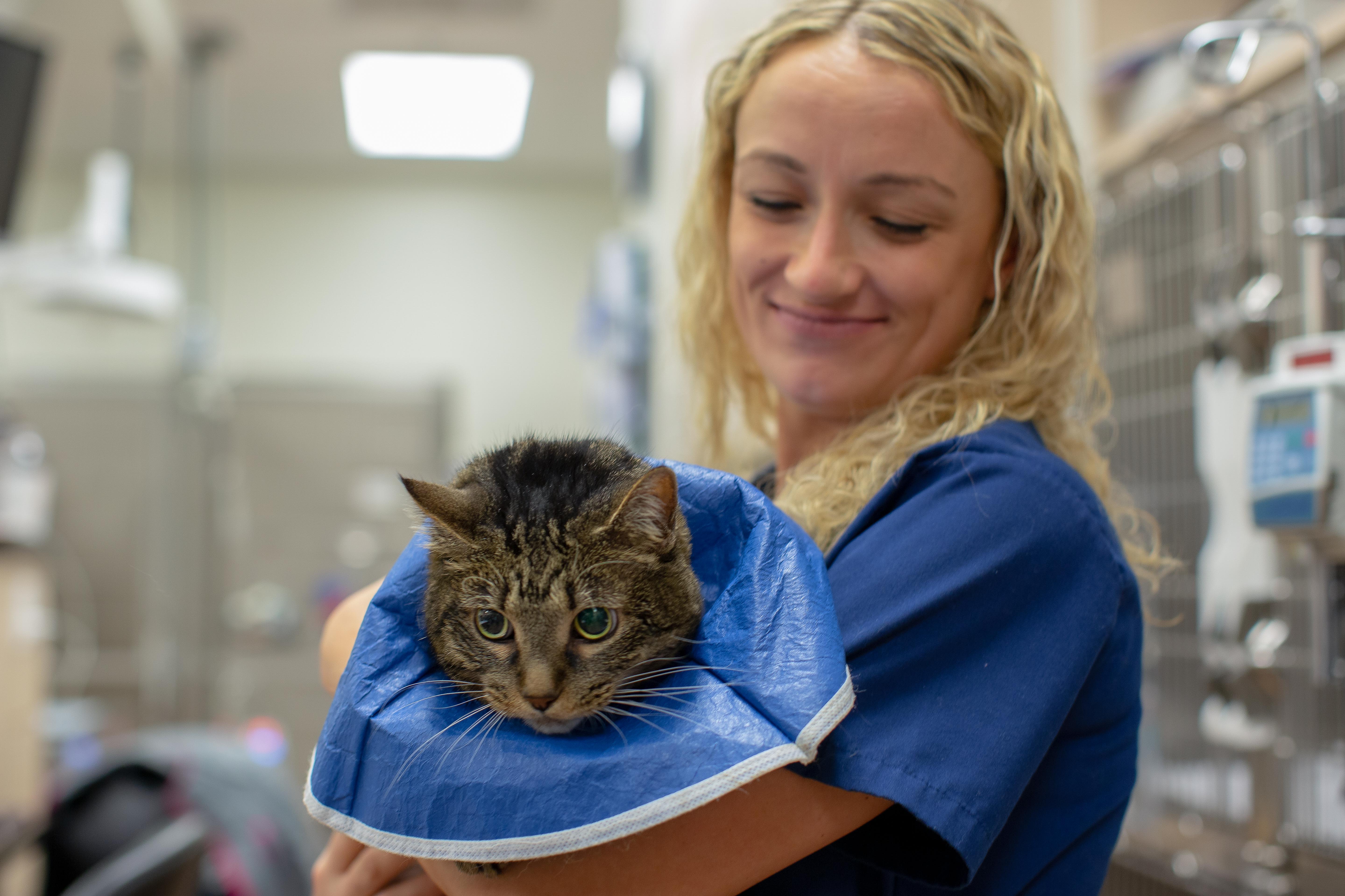 Veterinary Technician with Cat