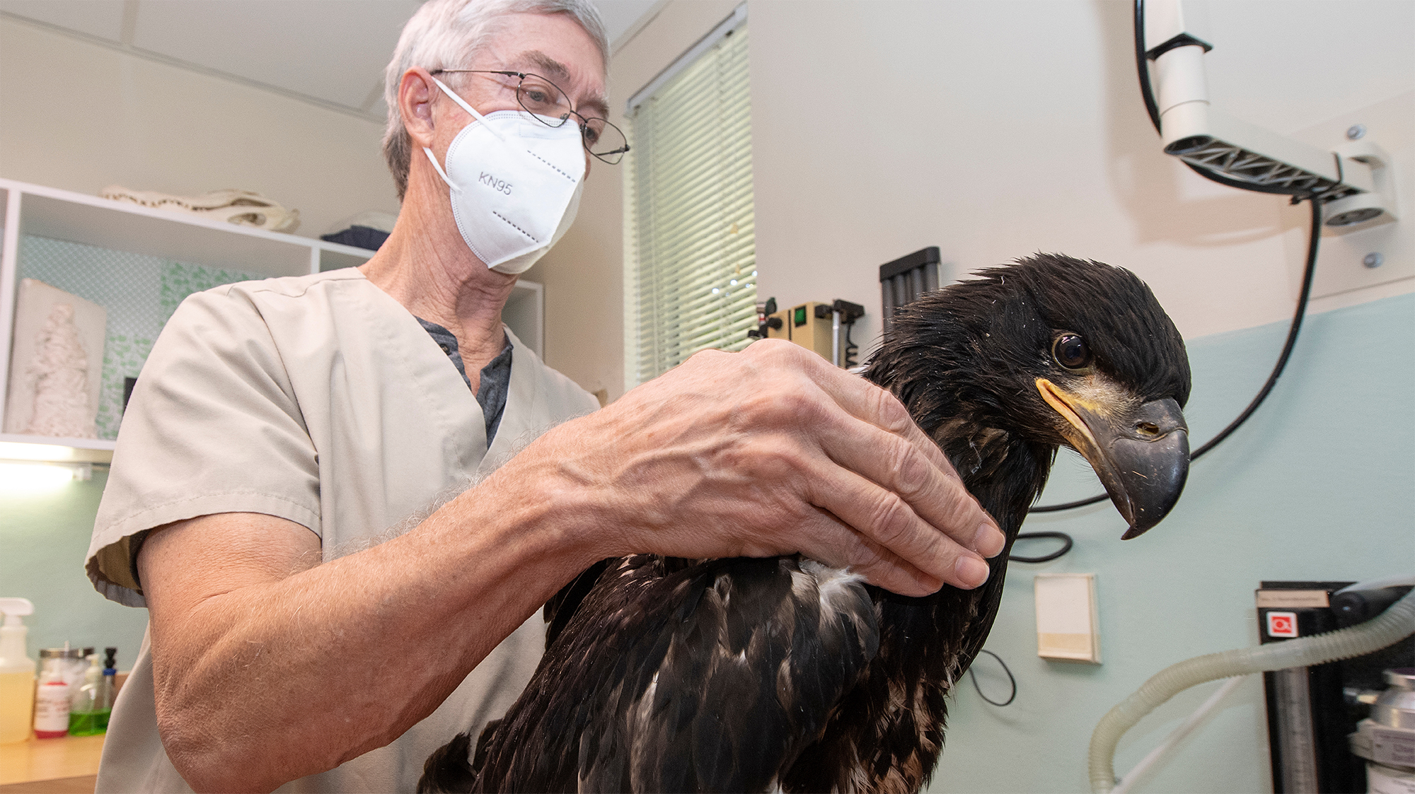 Dr. Don Harris with Eagle