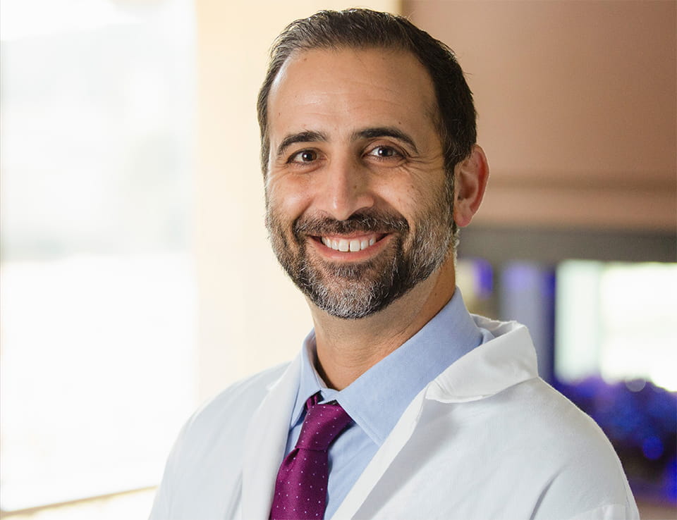 Cream colored long-haired cat being examined by VCA associate