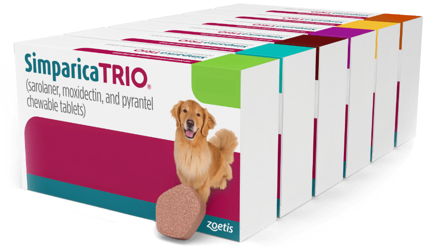 simparica-trio-montage_855x500