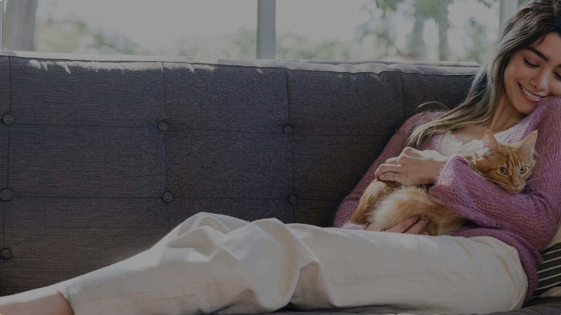 50-50-access-plan-banner-2-kitten