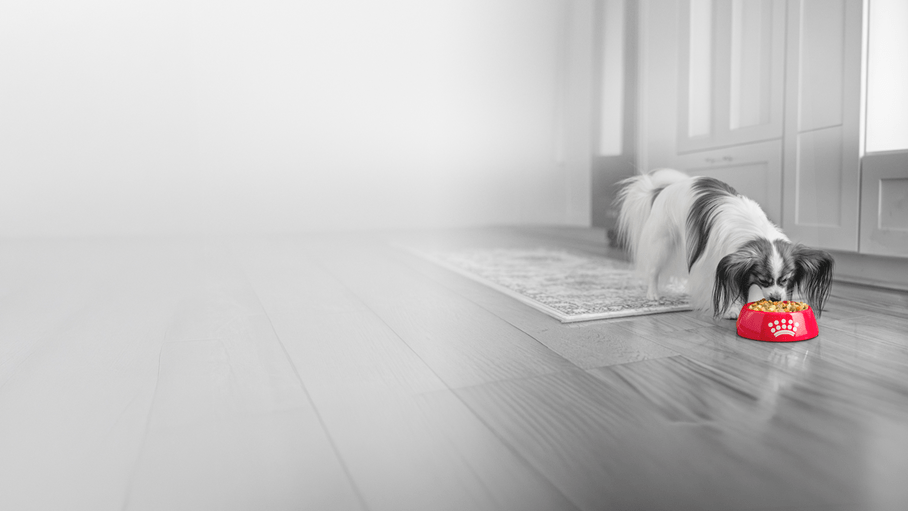 plp promo image