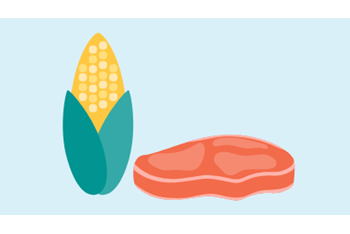 foods that cause bowel obstructions in dogs