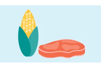 foods that cause bowel obstructions in dogs