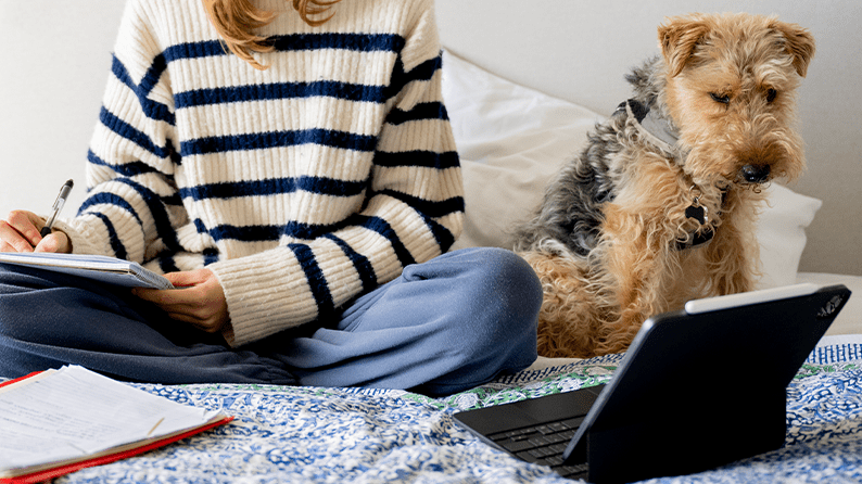 Back to school safety for dogs
