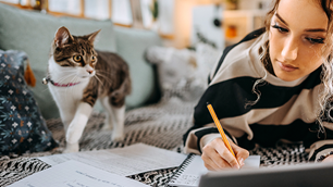 back to school cats