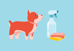 spring cleaning dog