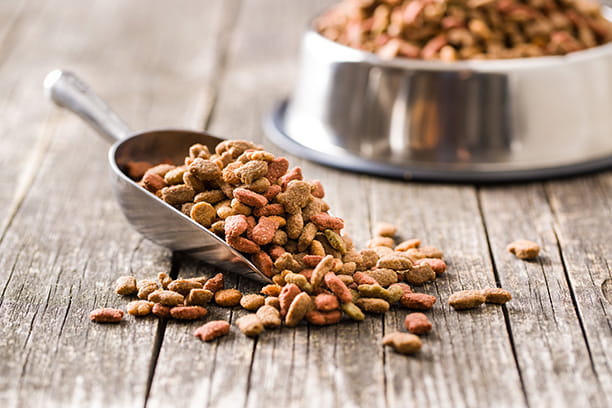 Pet Nutrition Food Planning
