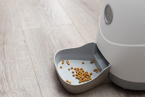 The pros and cons of automatic feeders