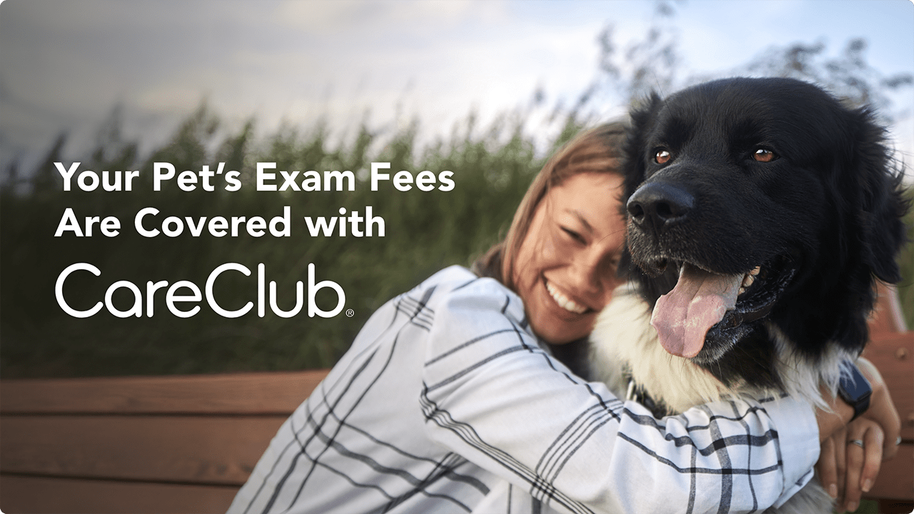 np-careclub-card-dog