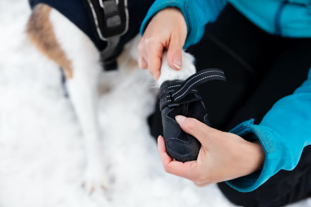 Tips to enjoy winter weather safely