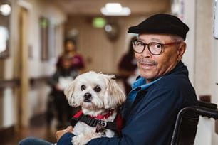 help elderly family keep pets