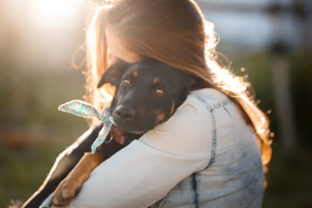 8 ways to support your local animal shelter