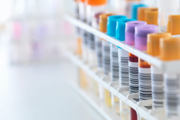 Blood work can tell you what your pet can’t