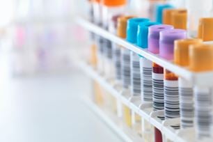 blood work tells what pets cant