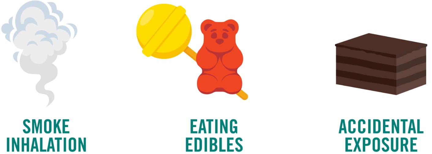 toxin spotlight- marijuana