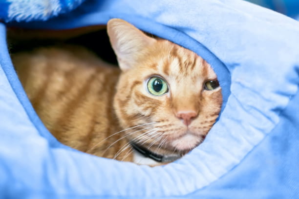 Wound care dos and don’ts