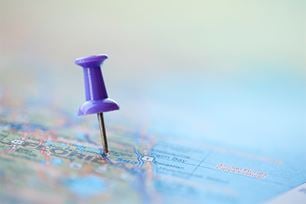 top pet toxins by state