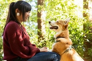 pet tummy troubles