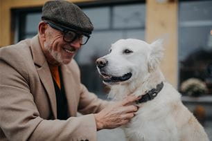 senior pets can learn commands