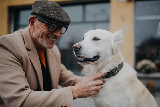 True or False? Senior pets can’t learn commands.