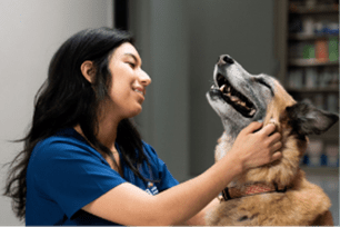 t-f becoming a vet tech