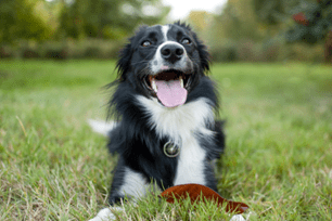 exercise and osteoarthritis