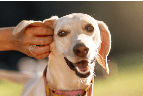 Tips to support bone and joint health