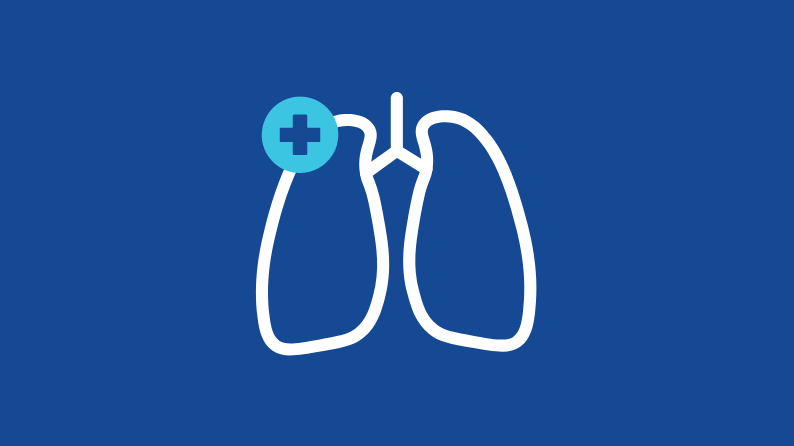 Everything you need to know about canine respiratory illness