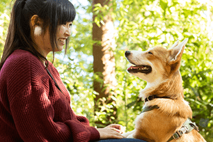 eco-friendly pet swaps