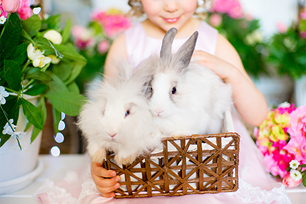 how to make a pet easter basket