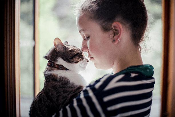 How to find a new best friend at the shelter