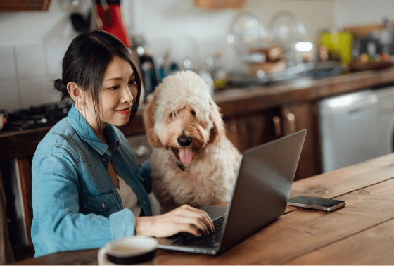 Working from home? Why your cat loves your keyboard