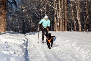 skijoring