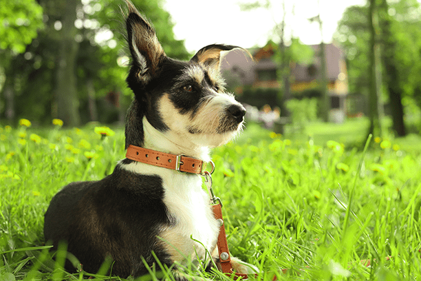 9 springtime safety tips