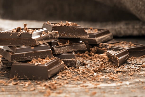 Delicious but dangerous: Chocolatey facts every pet owner should know