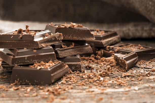 Delicious but dangerous: Chocolatey facts every pet owner should know