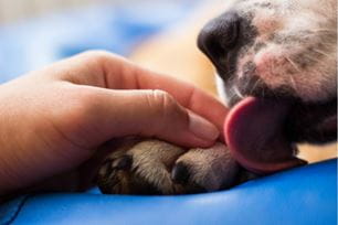 deworming protects you