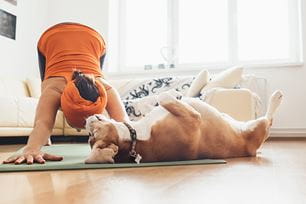 dog yoga