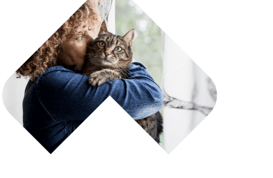 Dogs Skin & Coat illustration