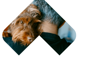 Dogs Skin & Coat illustration