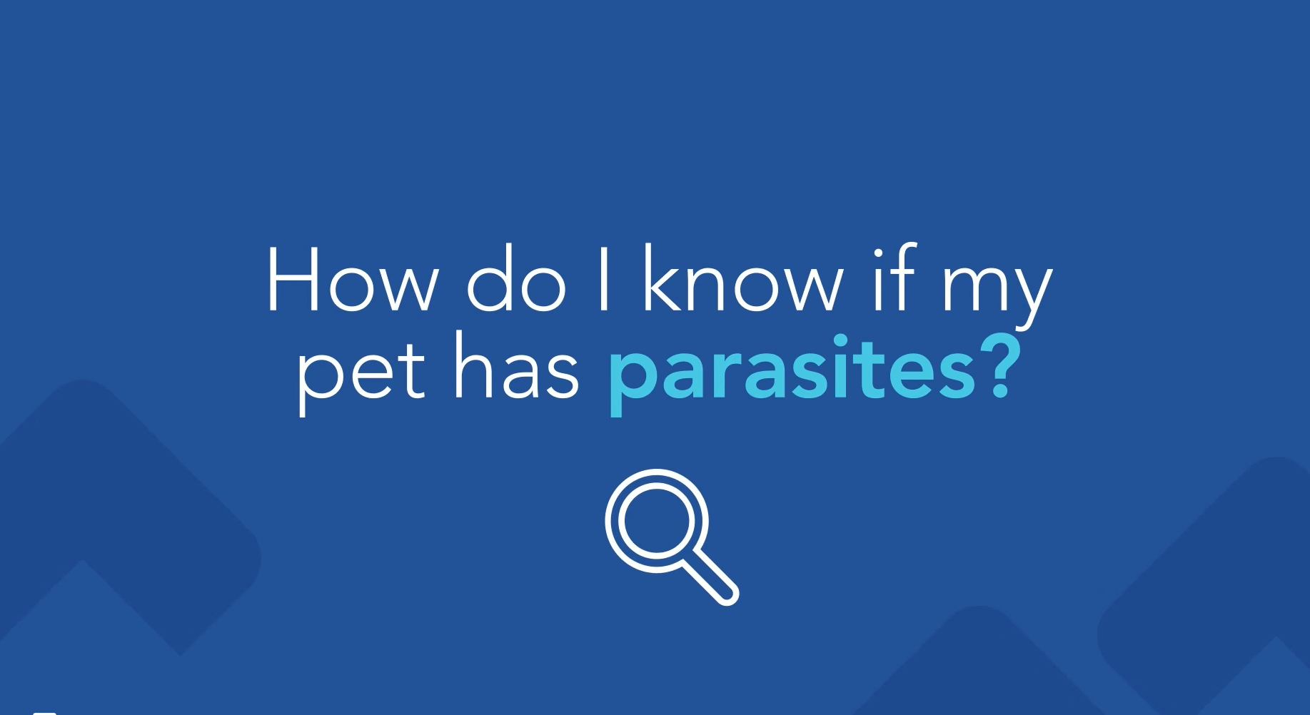 How do I know if my pet has parasites?