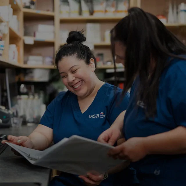 VCA Park Cities Animal Hospital